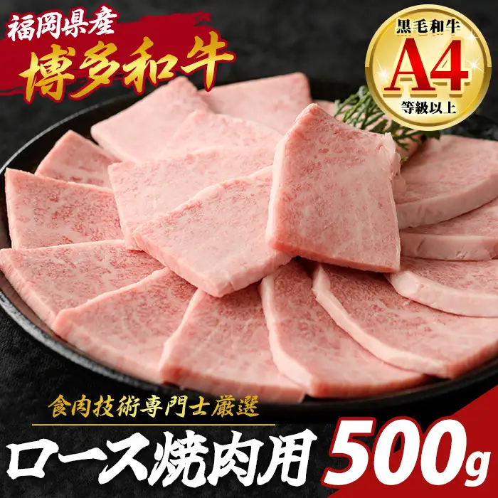 博多和牛 ロース 焼肉用 (計500g) 国産 九州産 福岡県産 牛 牛肉 和牛 黒毛和牛 ブランド牛 焼き肉 BBQ バーベキュー ギフト 贈答用 贈り物 お祝い 冷凍【チクゼンヤ】as58-009
