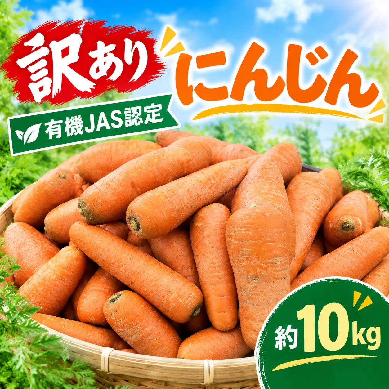 訳あり にんじん 10kg【有機野菜】JAS認定