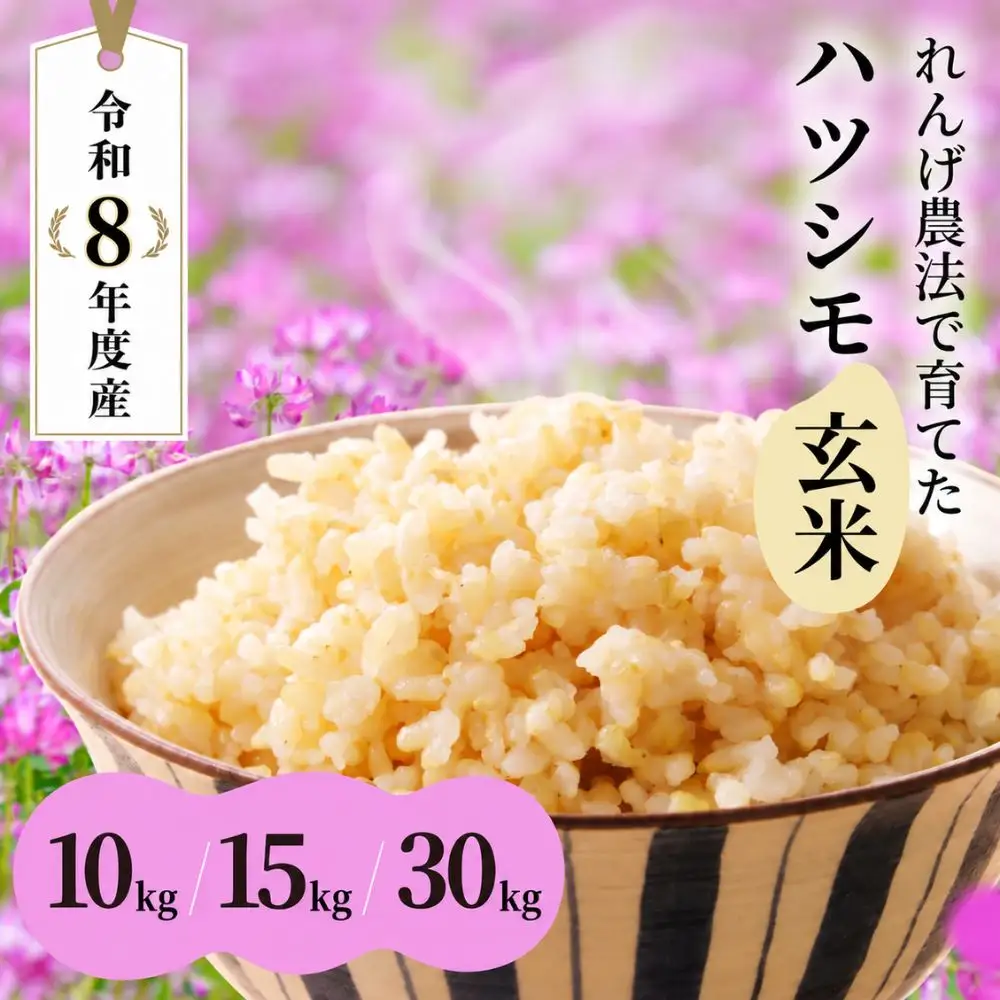 玄米 R8年産 30kg（30kg×1袋）  ハツシモ｜玄米
