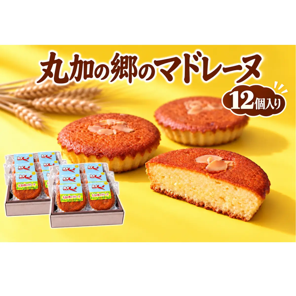丸加の郷のマドレーヌ 12個入り 個包装｜北海道 滝川市 バター 焼き菓子 スイーツ 洋菓子 お菓子 北海道産小麦 きたほなみ おやつ ティータイム 贈り物 ギフト 手土産 お土産 プレゼント お取り寄せ