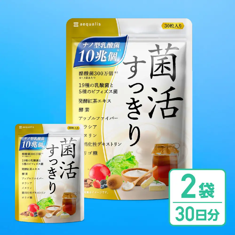 乳酸菌サプリメント 2袋 ナノ型乳酸菌10兆個&ビフィズス菌配合 乳酸菌プレミアム