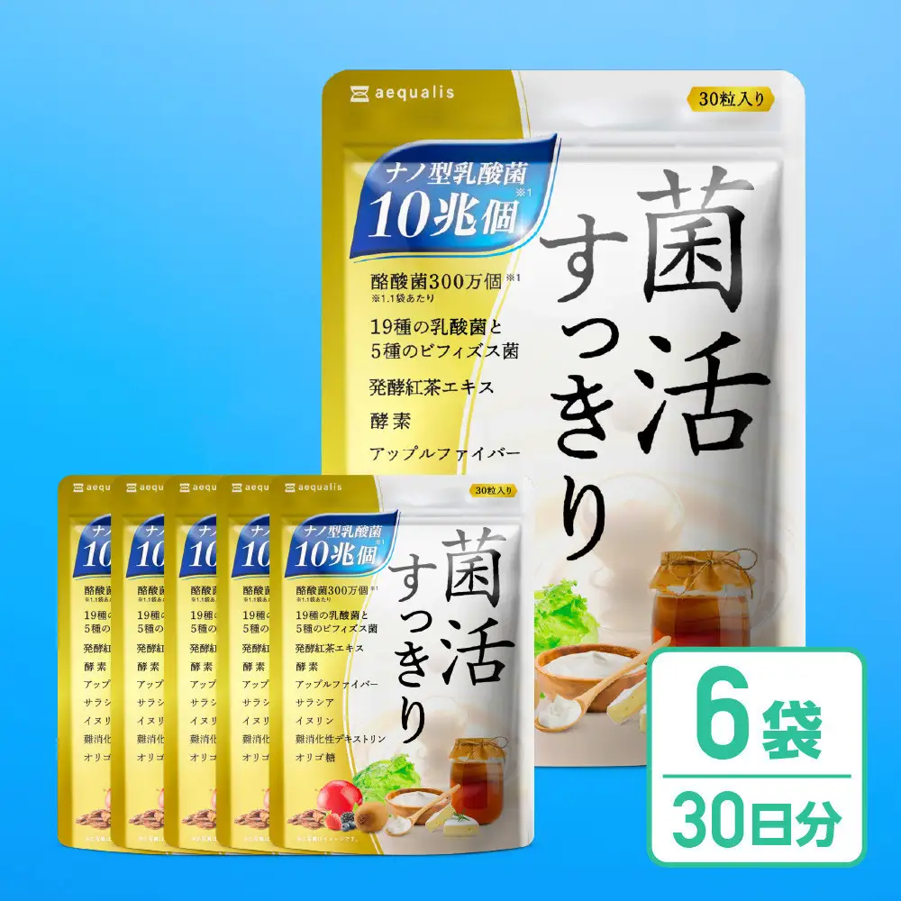 乳酸菌サプリメント 6袋 ナノ型乳酸菌10兆個&ビフィズス菌配合 乳酸菌プレミアム
