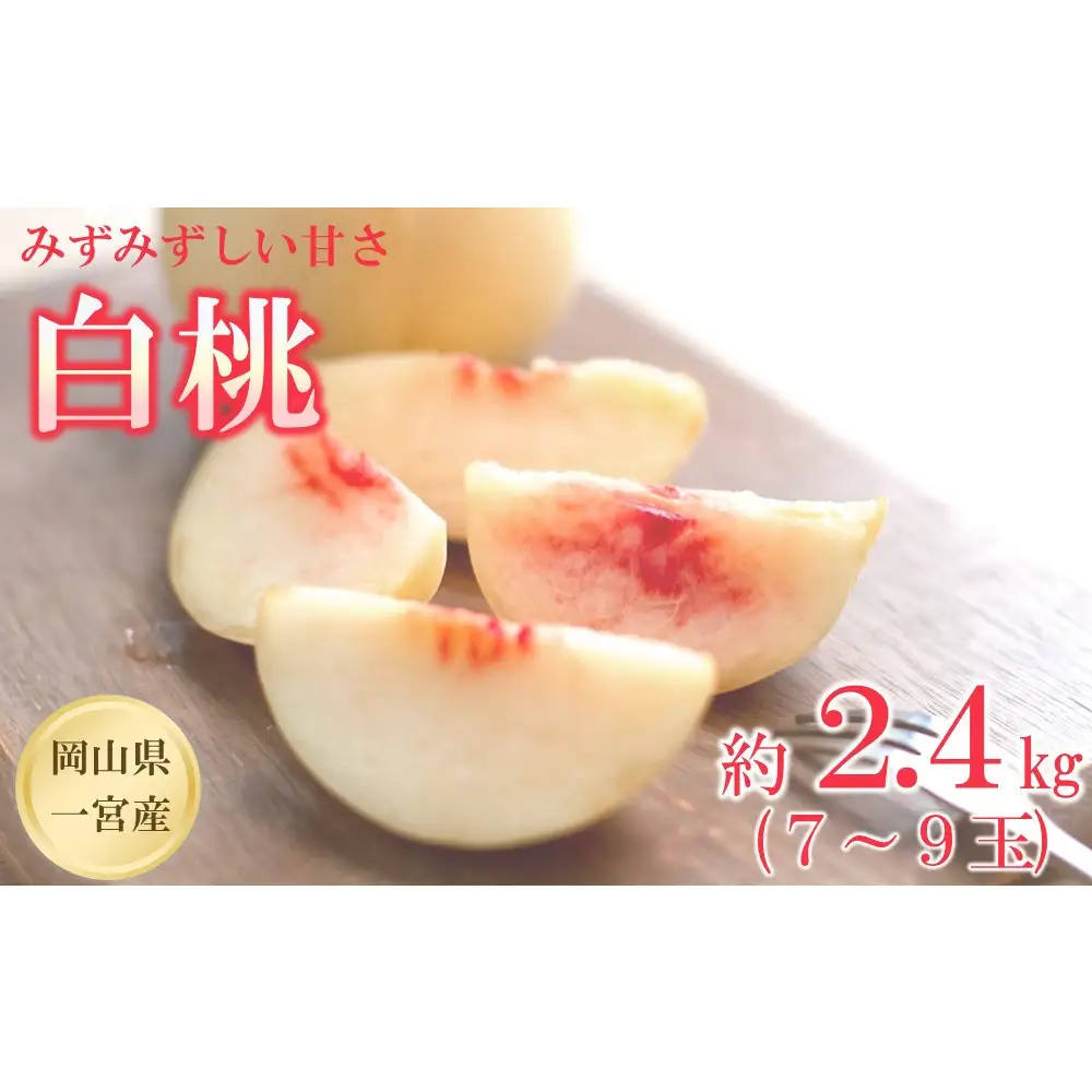 【2027年先行予約】 家庭用 白桃 匠の白桃  約2.4kg（7～9玉） 岡山県 一宮産  数量限定 ～旬の美味しさ 犬塚農園からお届け～