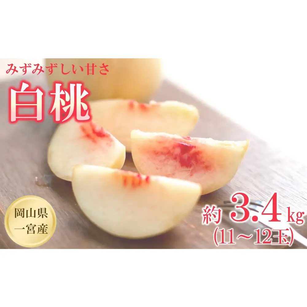 【2027年先行予約】 家庭用 白桃 匠の白桃  約3.4kg（11～12玉）岡山県 一宮産  数量限定 ～旬の美味しさ 犬塚農園からお届け～
