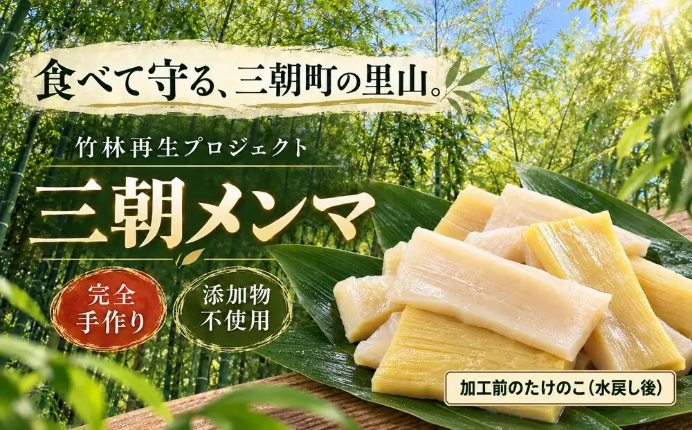 【数量限定 予約10月30日まで】【クール便】｜食べて守る三朝町の里山 手づくり「三朝メンマ」100g×2袋［添加物不使用］