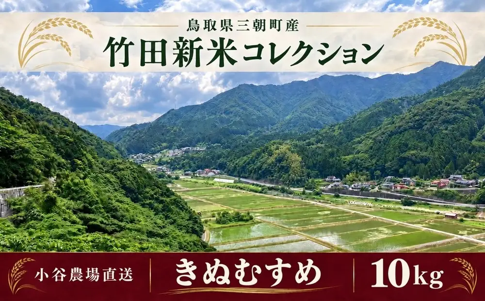 【2026年産新米｜寄付確認後精米、小谷農場より直送】三朝竹田米 新米きぬむすめ 10kg
