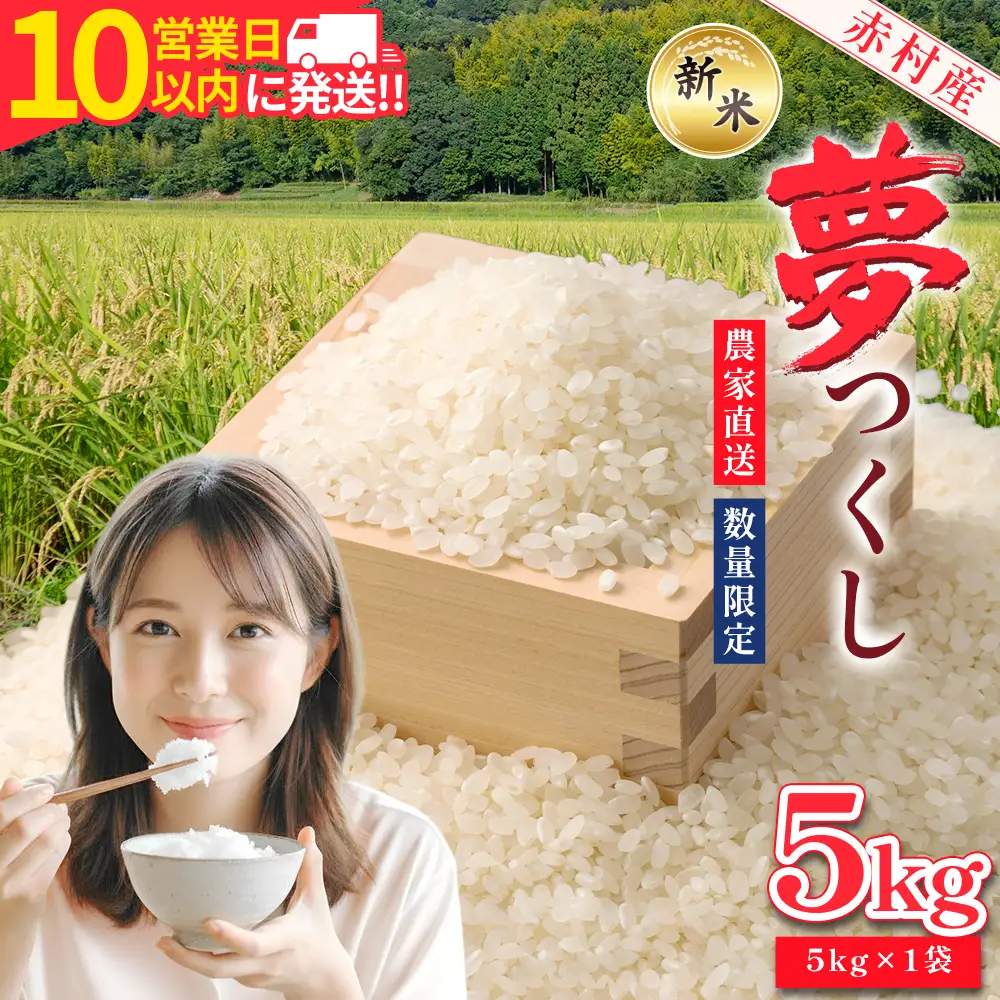 【10営業日以内に発送】 赤村産米 農家直送 【数量限定】 精米 夢つくし 5kg 4U2-S1