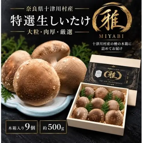 【大粒・肉厚】特選生しいたけ「雅」木箱入り9個 約500g 奈良県十津川村産【配送不可地域：離島】【1786490】