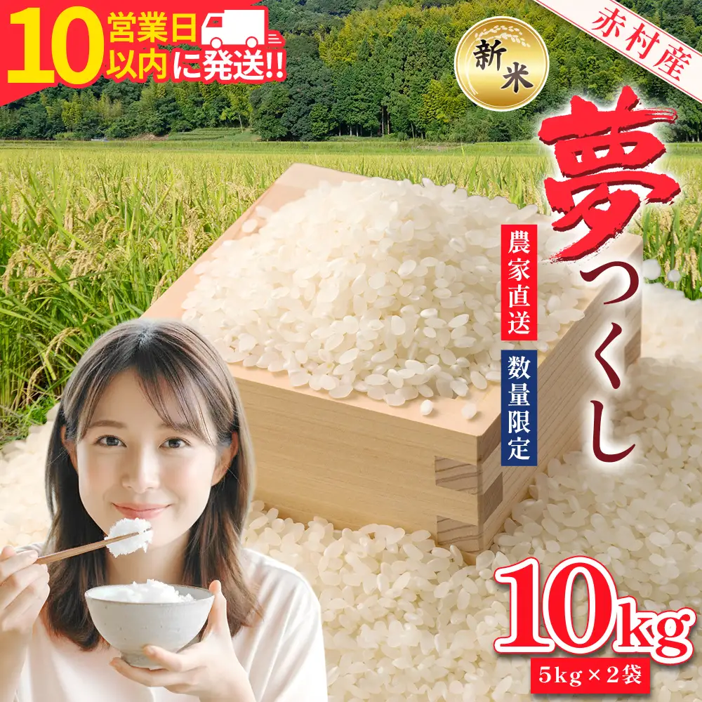 【10営業日以内に発送】赤村産米 農家直送 【数量限定】 精米 夢つくし 10kg 4U1-S2