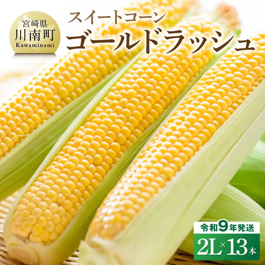 【令和9年産】スイートコーン「ゴールドラッシュ」2L×13本 【 新鮮 農家直送 トウモロコシ 産地直送 季節限定 期間限定 宮崎県産 九州産 】
