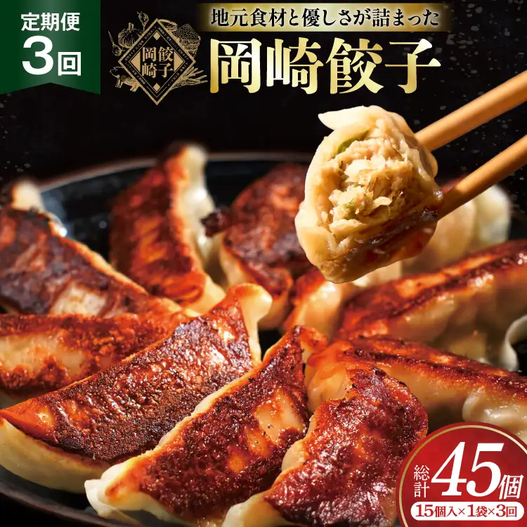 餃子 岡崎餃子 15個 3回 定期便