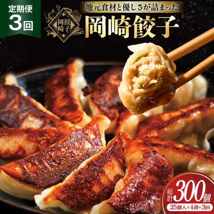 餃子 岡崎餃子 100個 3回 定期便