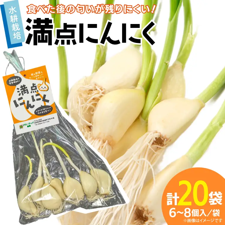 にんにく 満点にんにく 6～8個入 20袋