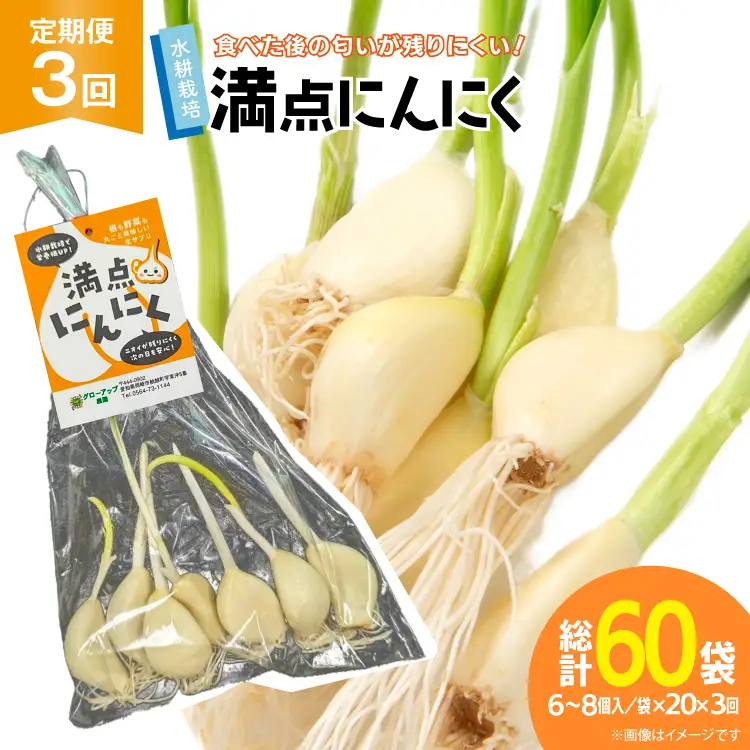 にんにく 満点にんにく 20袋 3回 定期便