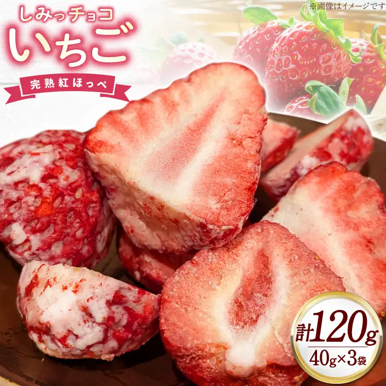 スイーツ いちご屋さかいのしみっチョコいちご 40g 3袋