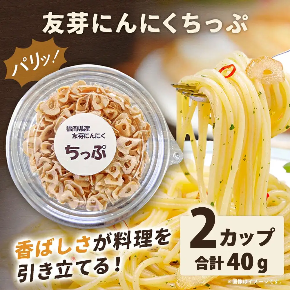 友芽にんにくちっぷ 2個 にんにく ガーリックチップ 友芽にんにく ガーリック にんにくスライス 調味料 トッピング サラダ パスタ ラーメン カレー 炒め物 長期保存 便利