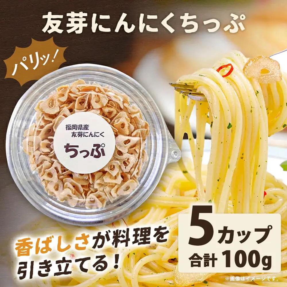 友芽にんにくちっぷ 5個 にんにく ガーリックチップ 友芽にんにく ガーリック にんにくスライス 調味料 トッピング サラダ パスタ ラーメン カレー 炒め物 長期保存 便利