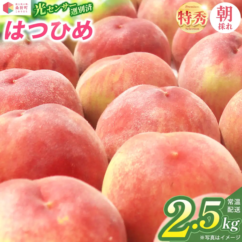 もも【はつひめ・2027年先行予約】特秀2.5kg（7～9玉）桑折町振興公社 ／ もも モモ 果物 早生桃 桃 白桃 フルーツ 2.5kg 大容量 特秀品 果汁たっぷり やわらかい 甘い果物 家庭用 贈答用 夏 季節限定 お取り寄せ 新鮮 福島県 特産品 献上桃の郷 【07301-0314】