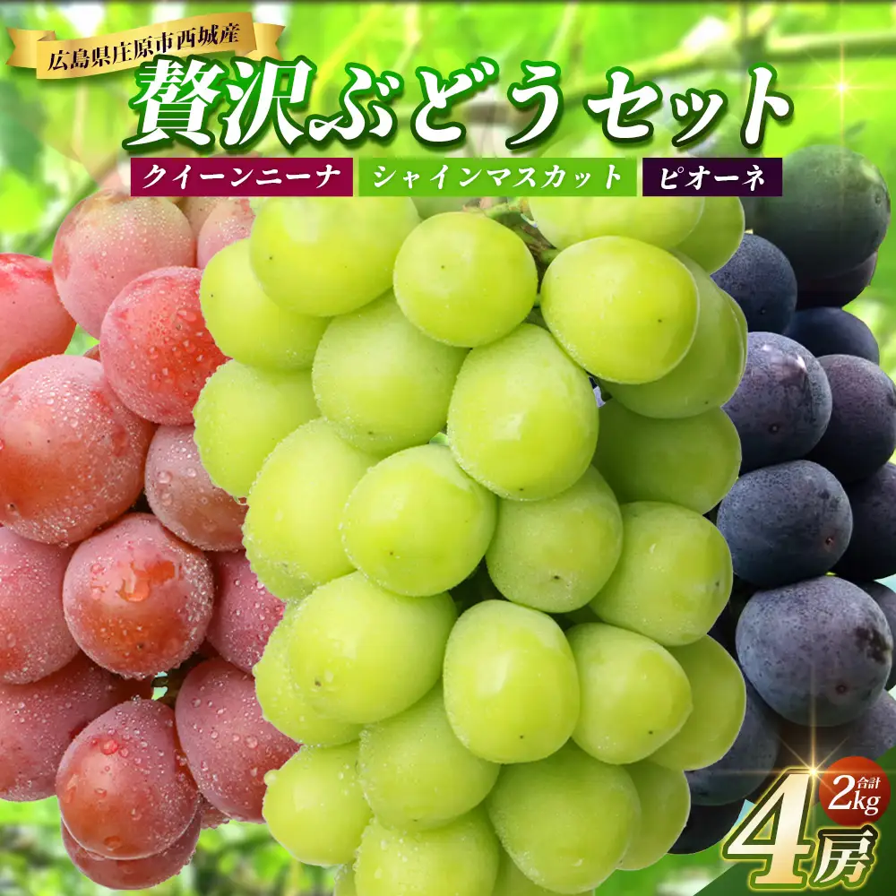 【先行受付 2027年発送】庄原市西城産 贅沢ぶどうセット 4房（合計2kg）　OV-4