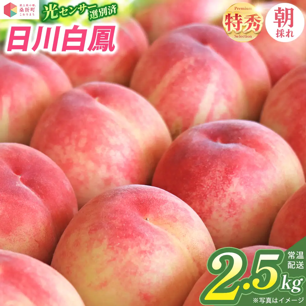 もも【日川白鳳・2027年先行予約】特秀2.5kg（7～9玉）桑折町振興公社 ／ もも モモ 果物 早生桃 桃 白桃 フルーツ 2.5kg 大容量 特秀品 果汁たっぷり やわらかい 甘い果物 家庭用 贈答用 夏 季節限定 お取り寄せ 新鮮 福島県 特産品 献上桃の郷 【07301-0315】