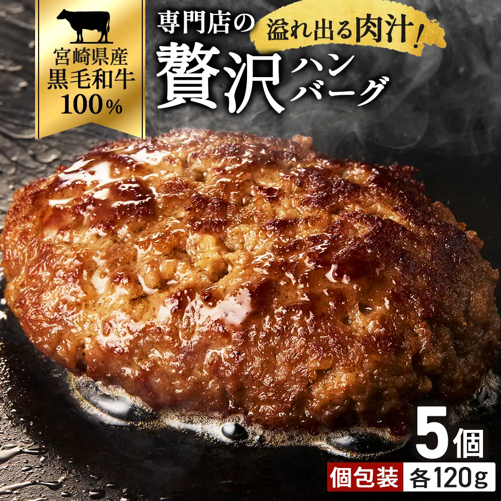 ハンバーグ 【食べログ百名店】倉薗牧場の国産黒毛和牛100％の贅沢ハンバーグ120g×5個