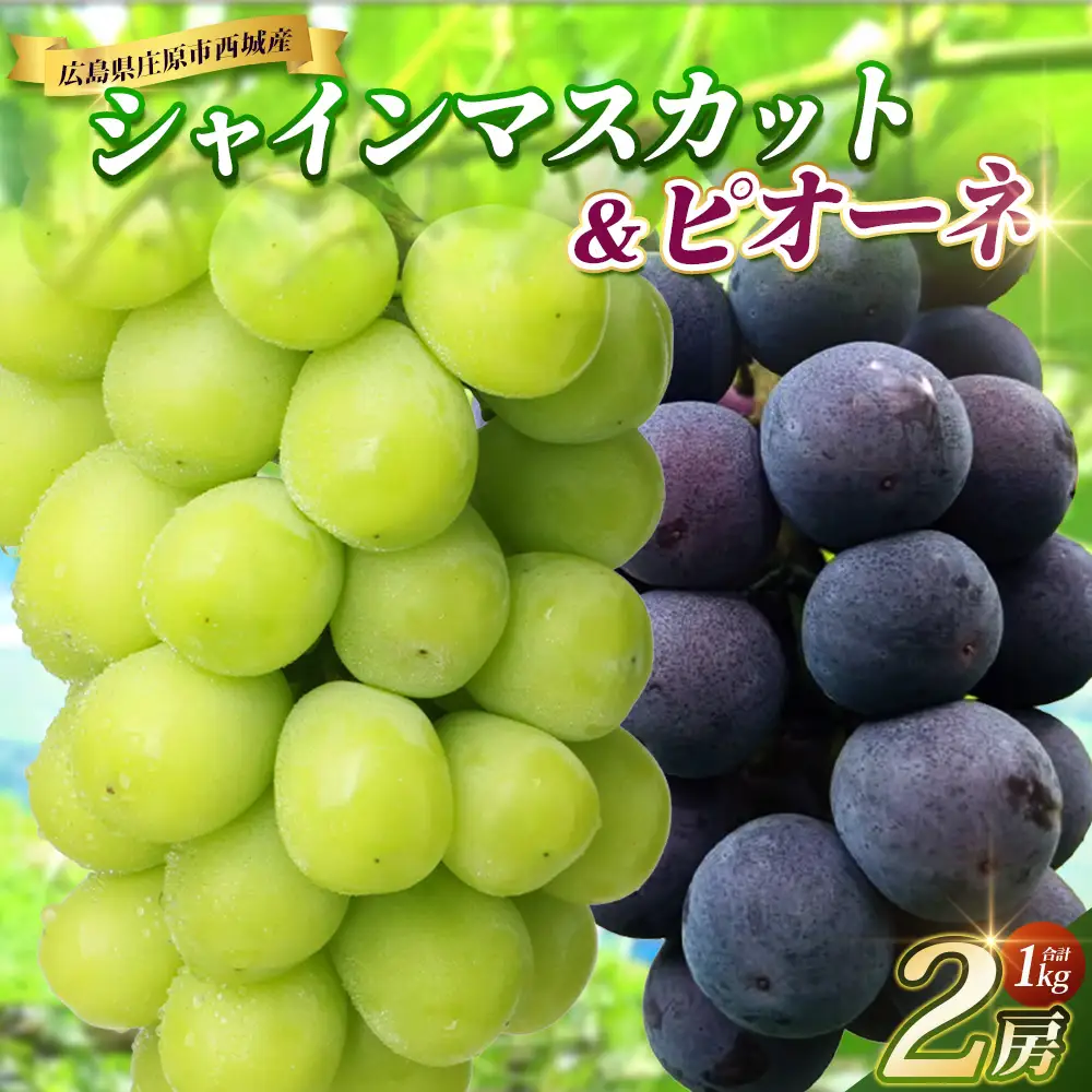 【先行受付 2027年発送】シャインマスカット&ピオーネ2房セット（合計1kg） OV-3