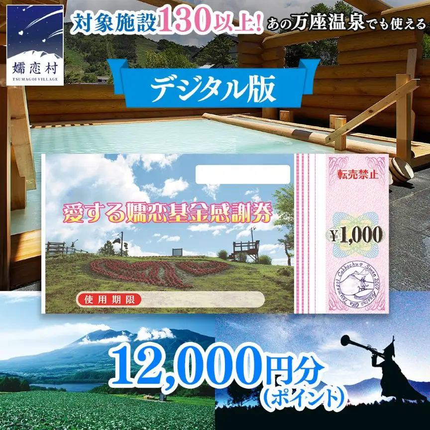 【デジタル感謝券】嬬恋村 で使える 感謝券 12,000円 分 電子クーポン  [AO047tu]