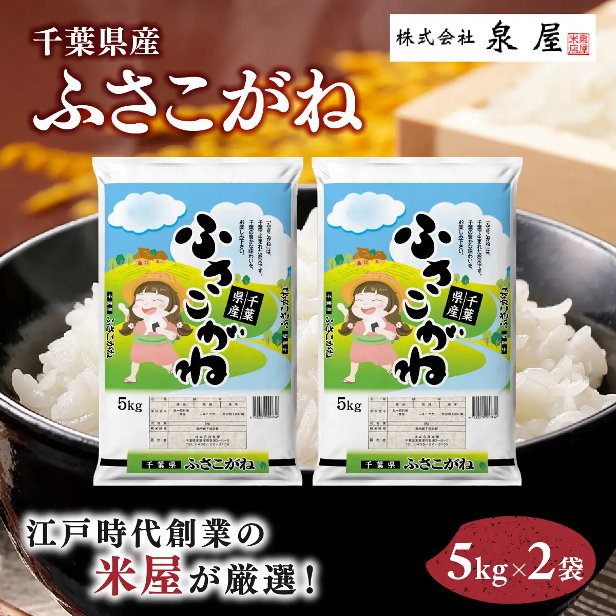 【最短2～7営業日にて出荷】令和8年度産  千葉県産「ふさこがね」10kg  (5kg×2)  KCV005