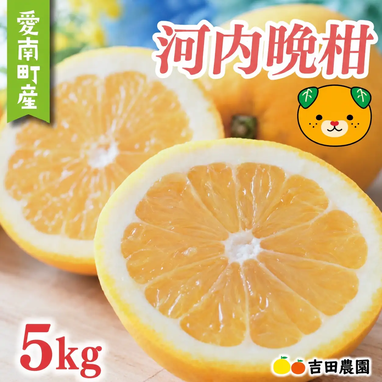【先行予約】 訳あり 河内晩柑 5kg 愛媛県産 河内晩柑