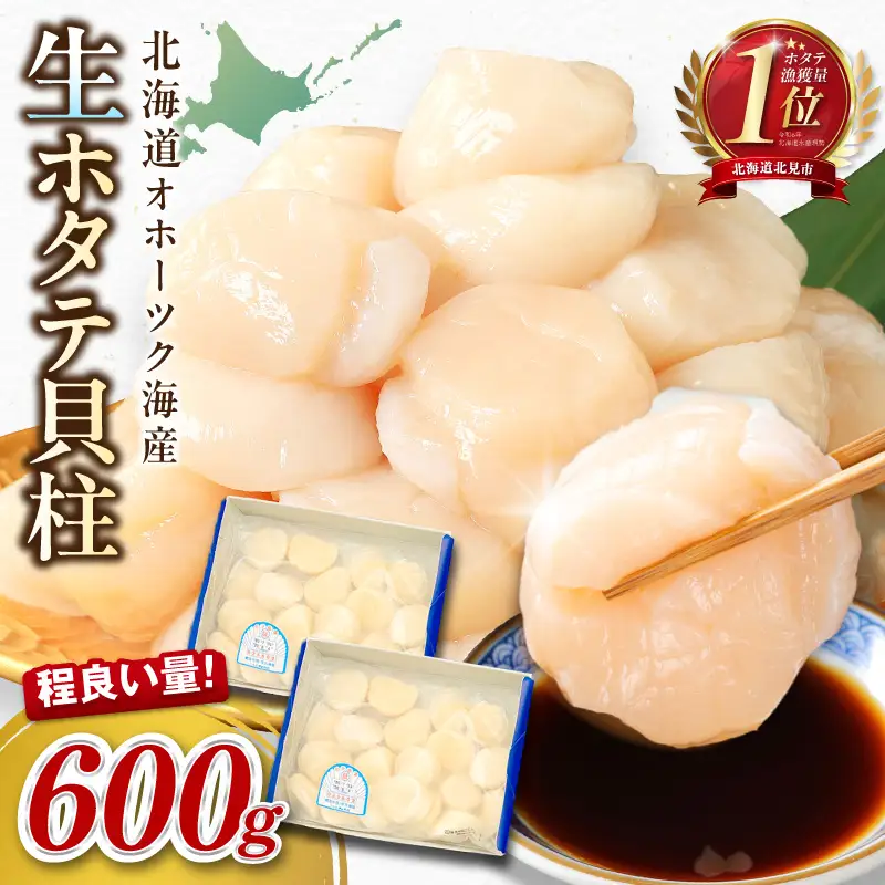 北海道オホーツク海産 ホタテ貝柱 600g 生食用 ( ほたて 刺身 ホタテ )【239-0003】