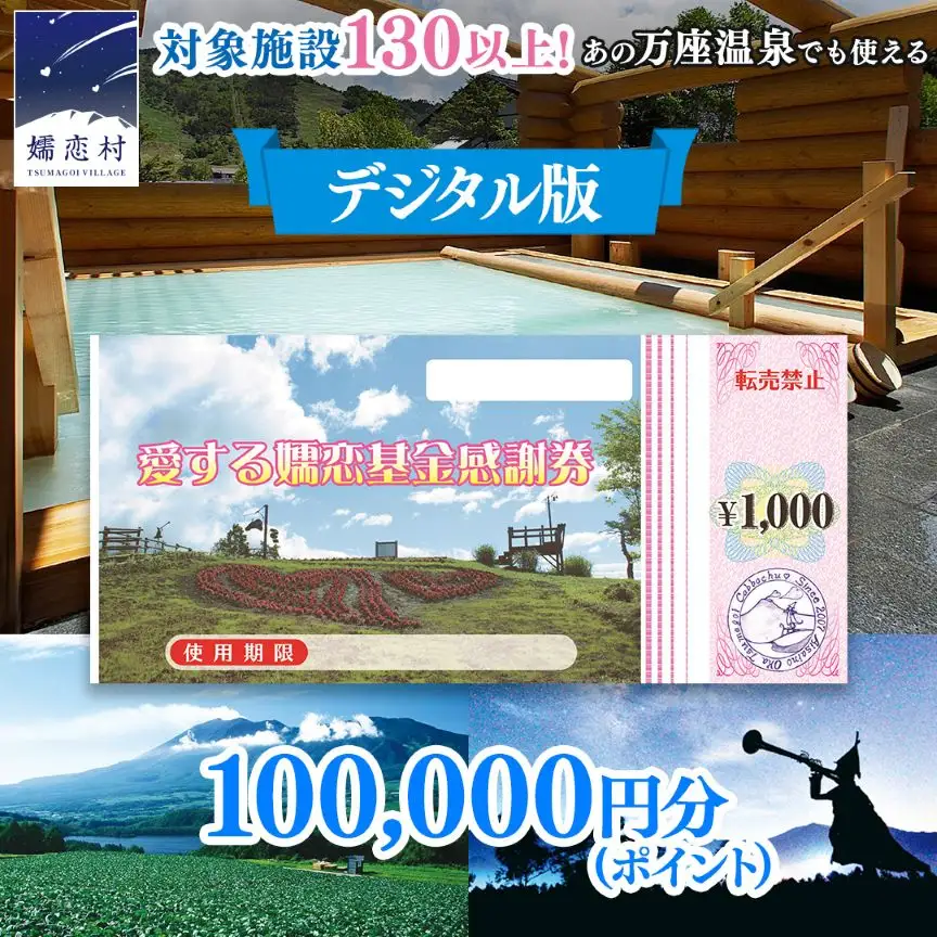 【デジタル感謝券】嬬恋村 で使える 感謝券 100,000円 分 電子クーポン [AO056tu]