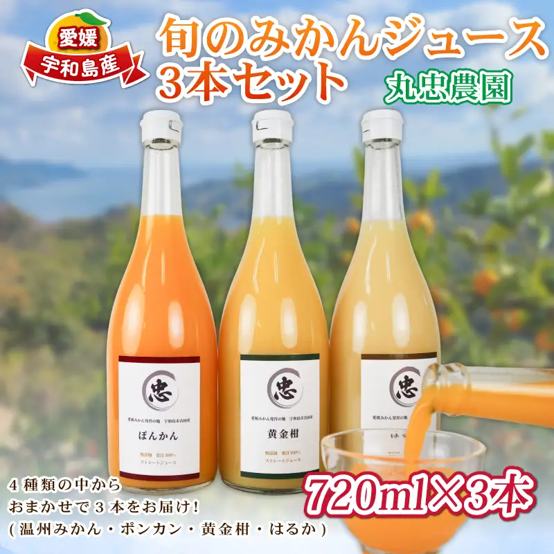 旬のみかんジュース 720ml × 3本 セット 丸忠農園 みかんジュース H012-210001
