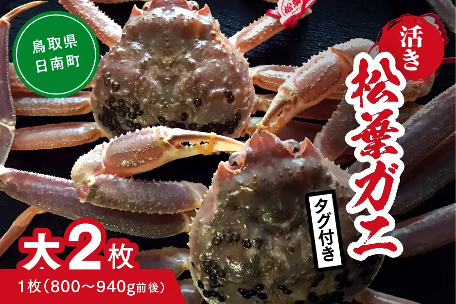 【活き】タグ付き松葉ガニ 大 2枚 (1枚800～940g前後) カニ 蟹 松葉ガニ 松葉がに かに 鳥取 高間商店 日南町