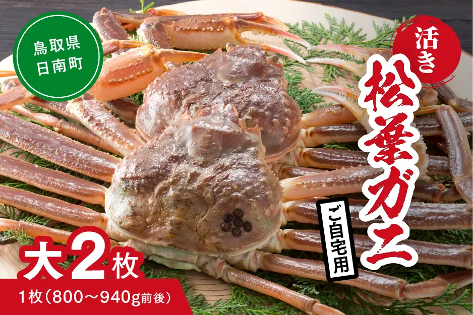【活き】ご自宅用 松葉ガニ 大 2枚 (1枚800～940g前後) カニ 蟹 松葉ガニ 松葉がに かに 鳥取 高間商店 日南町