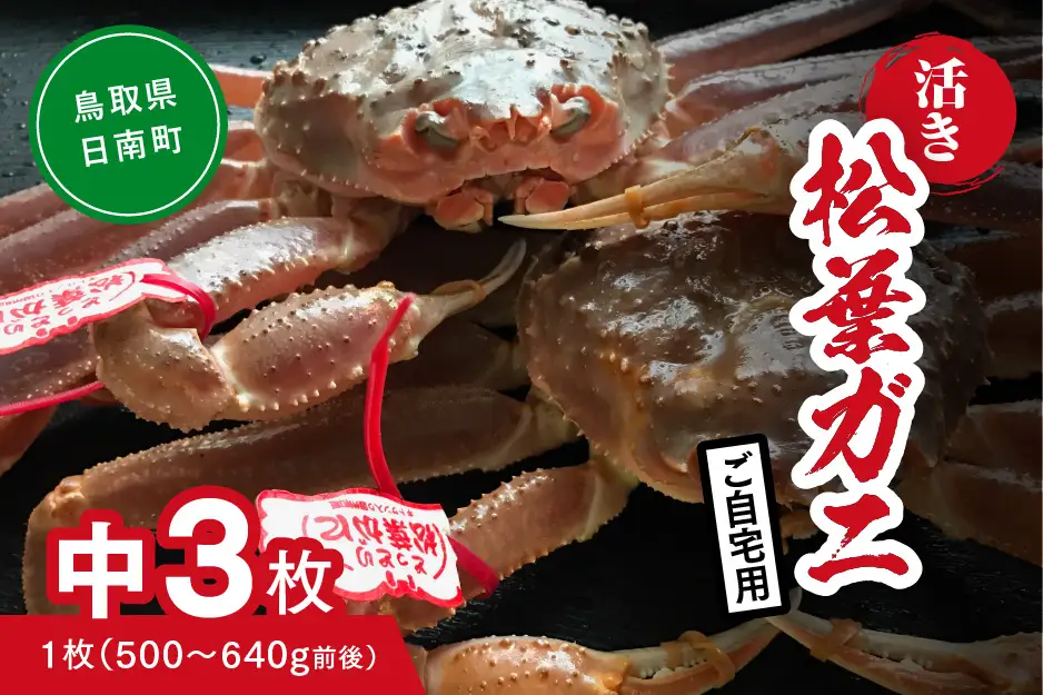 【活き】ご自宅用 松葉ガニ 中 3枚 (1枚500～640g前後) カニ 蟹 松葉ガニ 松葉がに かに 鳥取 高間商店 日南町