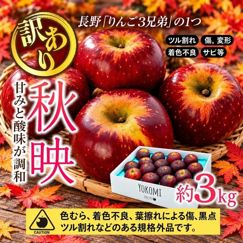【2026年/令和8年度発送分 】訳あり 信州のりんご 秋映 約 3kg りんご リンゴ 林檎 長野 フルーツ 果物 信州産 長野県産 特産 産地直送 おすすめ