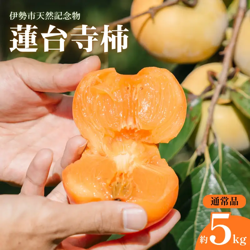 蓮台寺柿 【伊勢の天然記念物】 柿 約5kg 通常品 伊勢市産