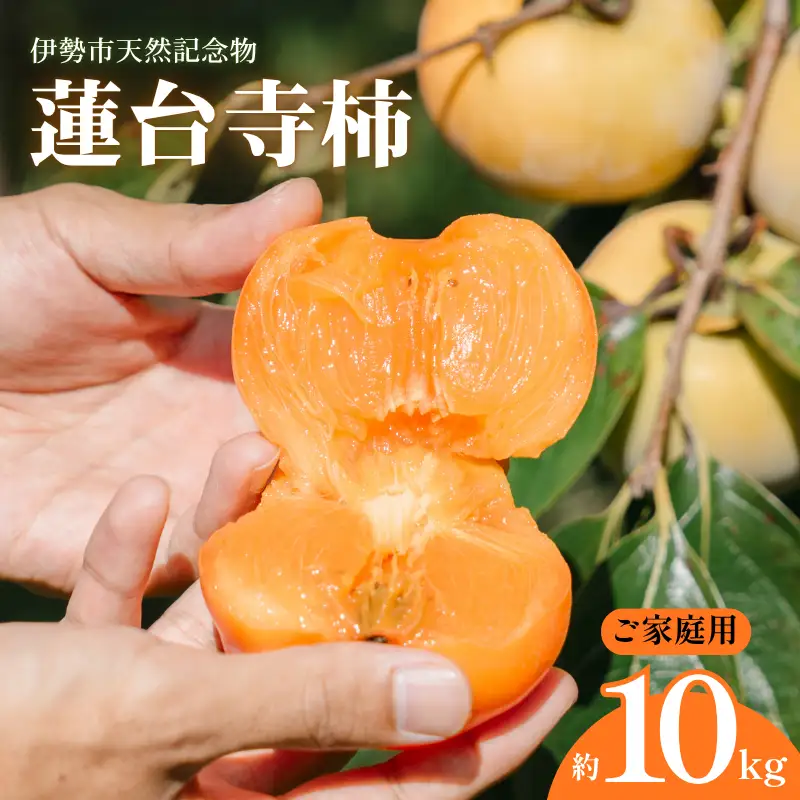 蓮台寺柿 【伊勢の天然記念物】 柿 約10kg ご家庭用 伊勢市産