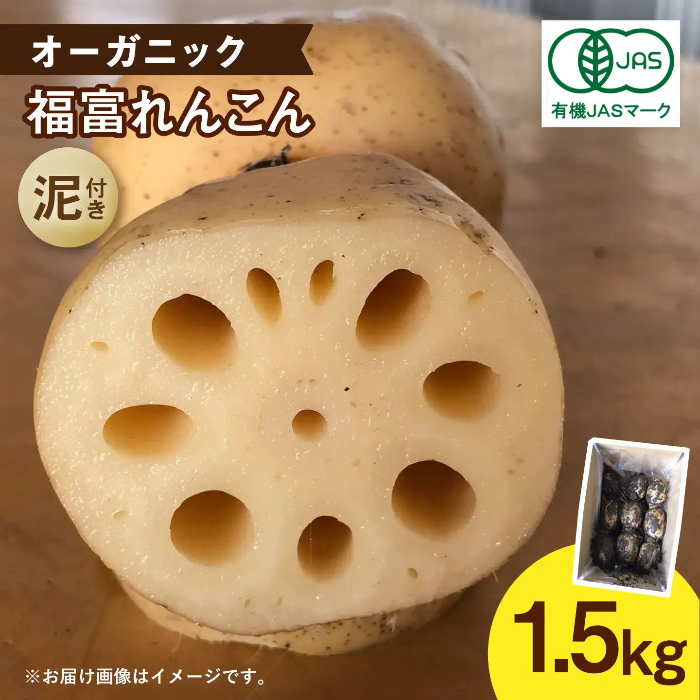 【泥付き】【2026年9月～発送】節切り 有機栽培福富れんこん1.5kg[IBC002]
