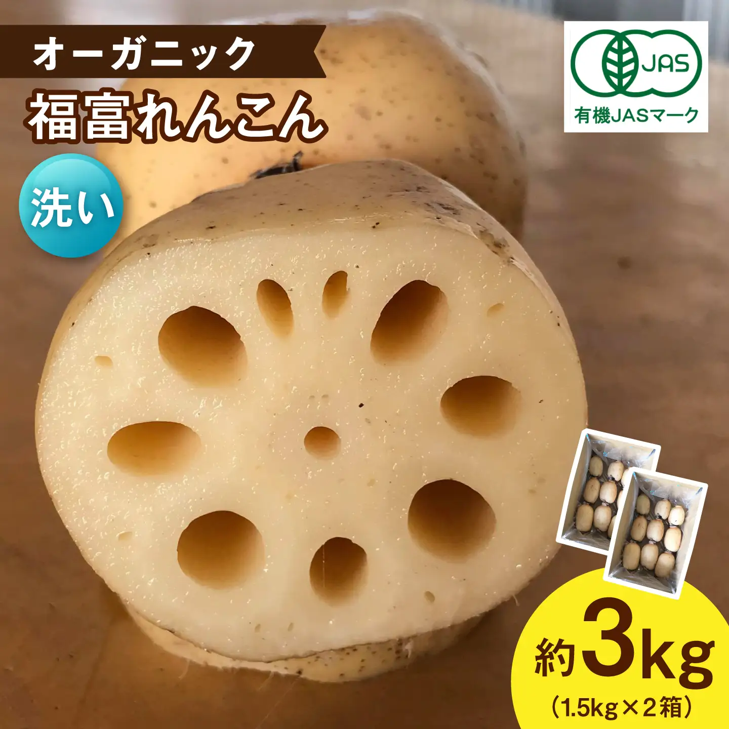【洗い】【2026年9月～発送】節切り 有機栽培福富れんこん 約3kg(1.5kg×2箱)[IBC005]