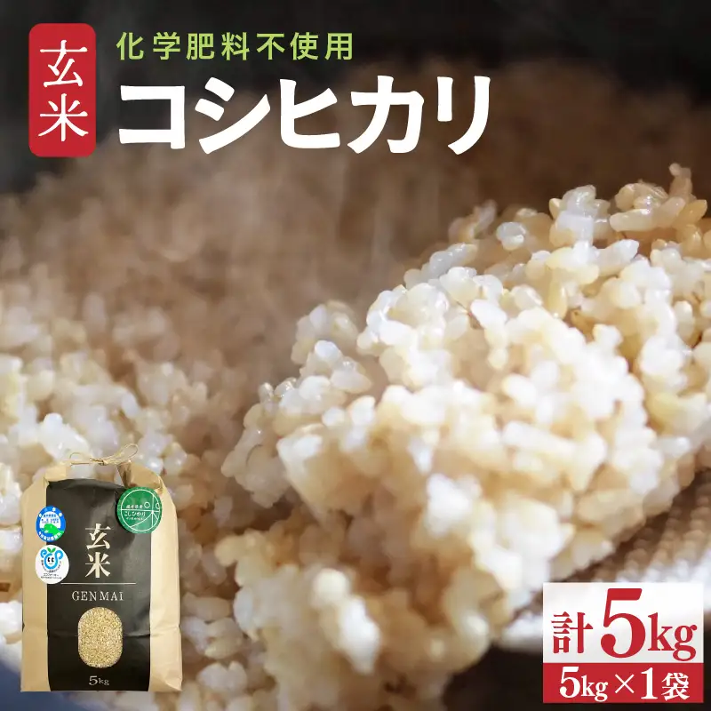 【令和8年産】特別栽培米 コシヒカリ 玄米 5kg 化学肥料不使用 / 米 福井県 あわら市産 美味しい 特別栽培米 減農薬 安心な米 旨味 甘み もっちり 冷蔵保管米 [aw010-a082]