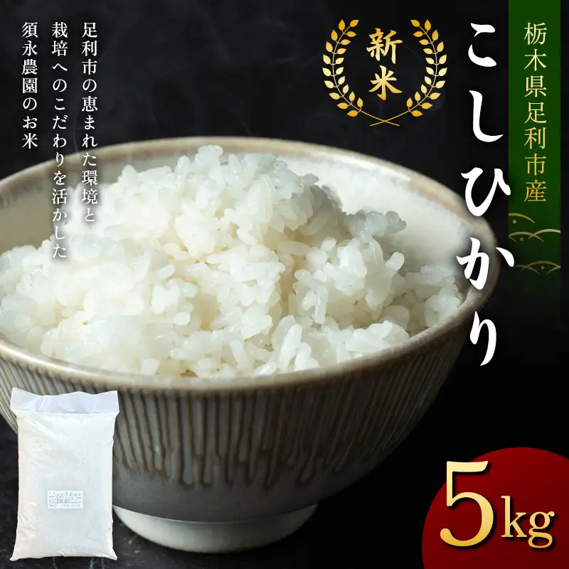 令和8年産 栃木県足利市産 新米 こしひかり5kg 精米 白米 米 こめ ごはん 食品 栃木県 足利市  F7Z-2017