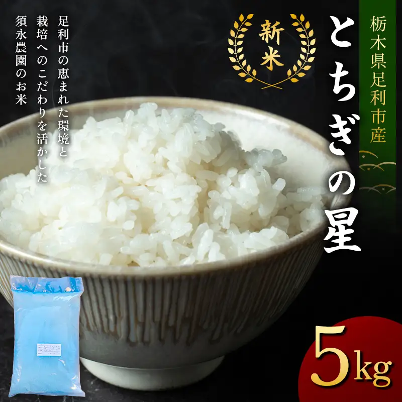 令和8年産 新米 栃木県足利市産とちぎの星5kg 精米 白米 米 こめ ごはん 食品 栃木県 足利市  F7Z-2019