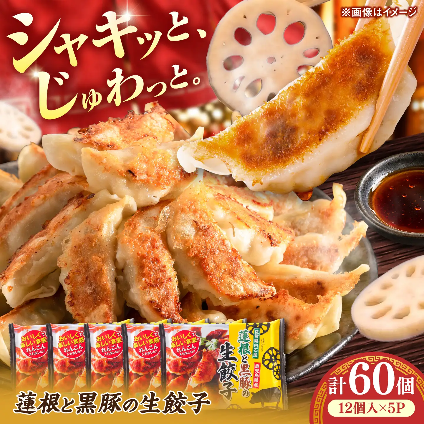 蓮根と黒豚の生餃子12個入り×5パック / 餃子 ぎょうざ れんこん / 佐賀県 / 佐賀冷凍食品株式会社 [41AHBI008]