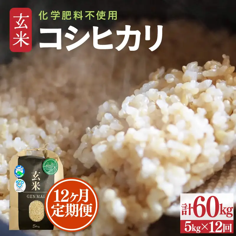 【令和8年産】定期便 ≪12ヶ月連続お届け≫ 特別栽培米 コシヒカリ 玄米 5kg×12回（計60kg） 化学肥料不使用 / 米 福井県 あわら市産 美味しい 特別栽培米 減農薬 安心な米 旨味 甘み もっちり 冷蔵保管米 [aw010-j004]