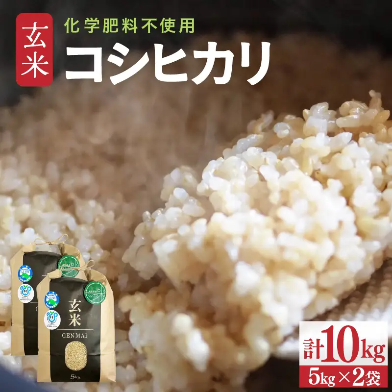 【令和8年産】特別栽培米 コシヒカリ 玄米 10kg 化学肥料不使用 / 米 福井県 あわら市産 美味しい 特別栽培米 減農薬 安心な米 旨味 甘み もっちり 冷蔵保管米 [aw010-a083]