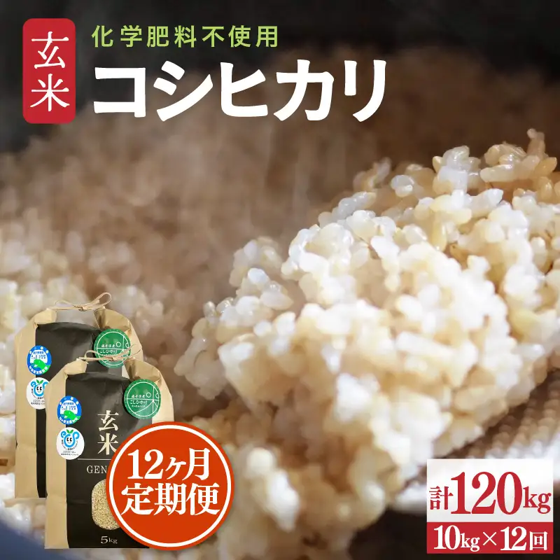 【令和8年産】定期便 ≪12ヶ月連続お届け≫ 特別栽培米 コシヒカリ 玄米 10kg×12回（計120kg） 化学肥料不使用 / 米 福井県 あわら市産 美味しい 特別栽培米 減農薬 安心な米 旨味 甘み もっちり 冷蔵保管米 [aw010-o002]