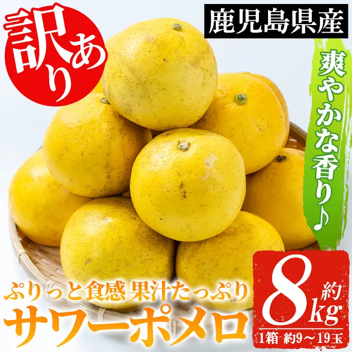 【訳あり 先行予約】3月頃から順次発送 いちき串木野市 サワーポメロ 8kg 箱 大橘 文旦【01-039-08】
