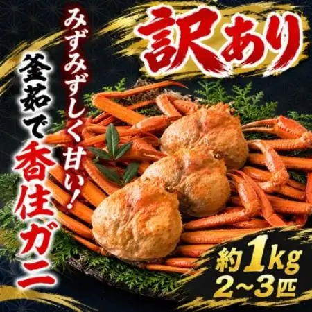 訳あり 兵庫県香住産 釜茹で香住ガニ(紅ズワイガニ)2～3匹入(約1kg)【配送不可地域：離島・北海道・沖縄県・東北】【1783405】