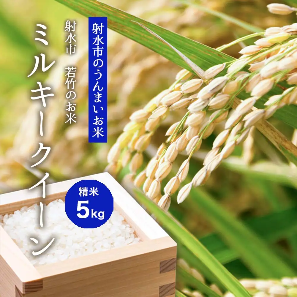 【射水市】【射水の美味しいお米】若竹のお米 R8年産 ミルキークイーン 5kg 【精米】